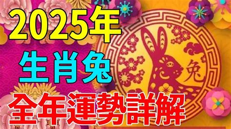 屬兔流年|2025 肖兔流年運程 